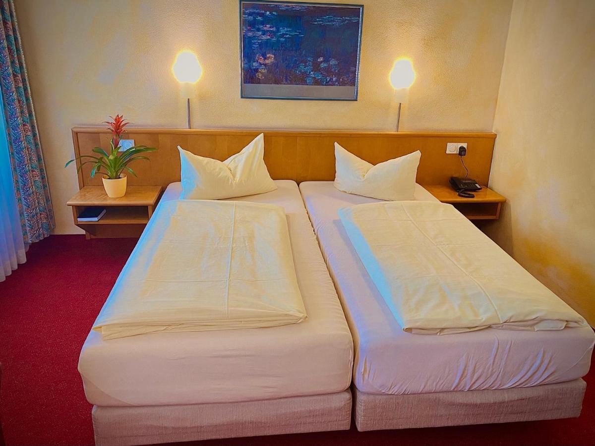 Meister Baer Hotel Ostbayern Floss Екстер'єр фото